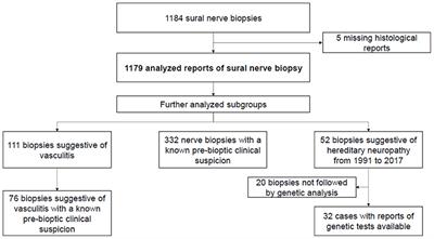 Diagnostic Value of Sural Nerve Biopsy: Retrospective Analysis of Clinical Cases From 1981 to 2017